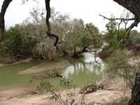 Lunch stop, Midgingar Waterhole